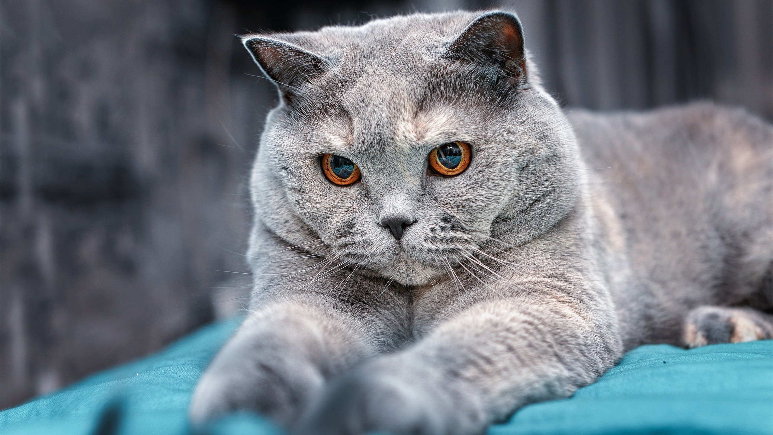 九游娱乐(jiuyou)官网-“全民运动”青少年篮球夏令营在全国多个城市火热开展，全国青少年篮球训练营